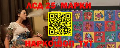 Альфа ПВП Ачхой-Мартан