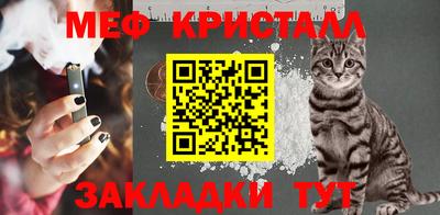 Альфа ПВП Ачхой-Мартан