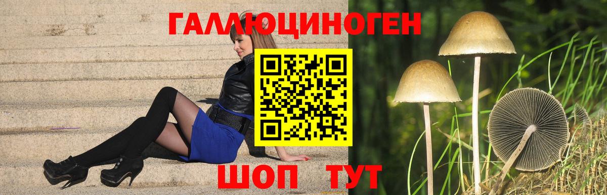 Псилоцибиновые грибы Cubensis Бугуруслан